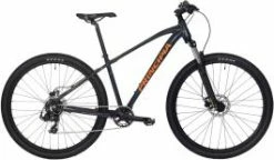 Principia A2.9 29" - Mountainbike - Blank Grå - 19"