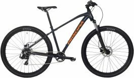 Principia A2.9 29" - Mountainbike - Blank Grå - 19"