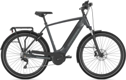 Gazelle ULTIMATE T10 HMB Herre 2022 - Grå