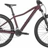 Scott Contessa Active 40 29" 2023 - Lilla (Udstillingsmodel)